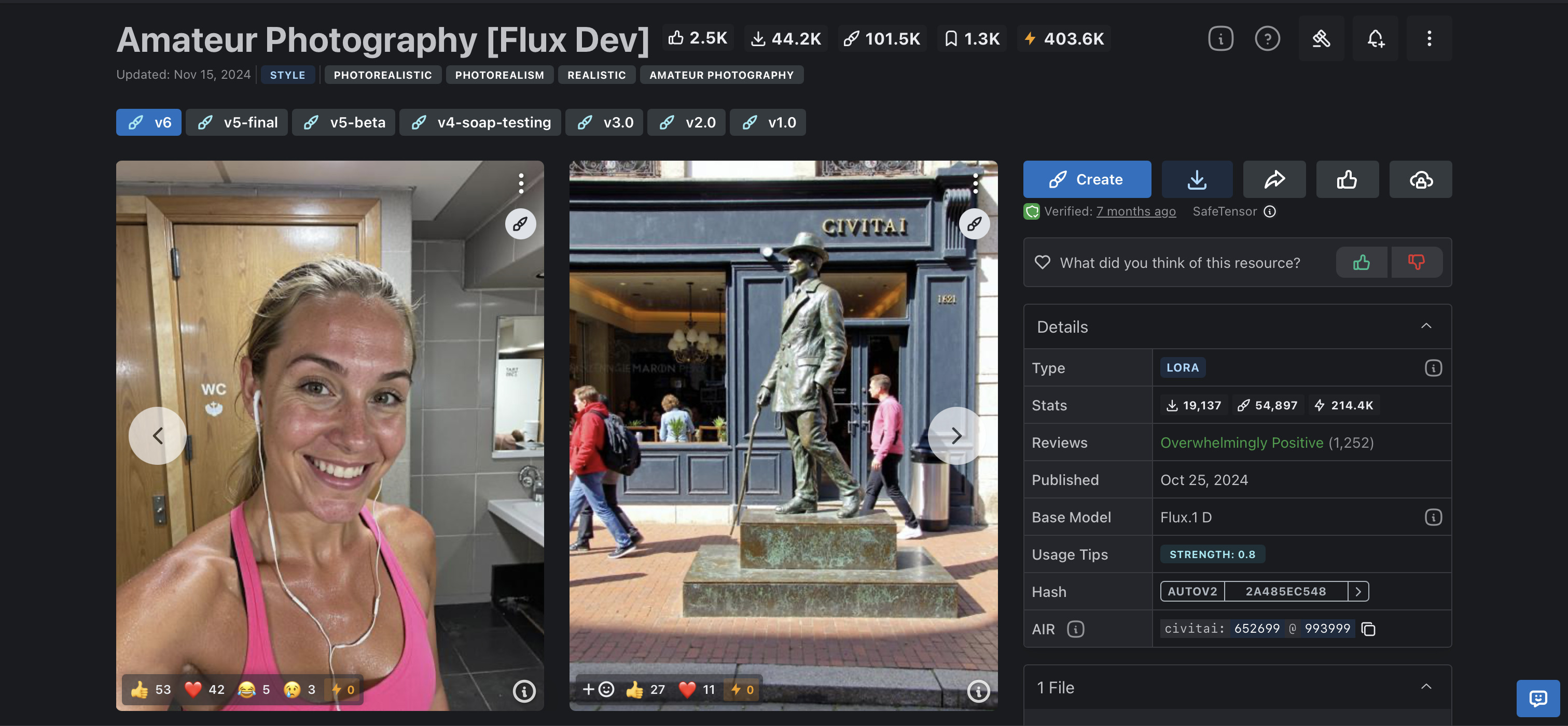 LoRA model architecture showing how different components work together